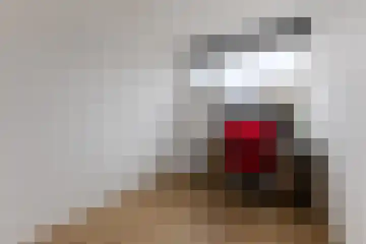 Kerkbollenveld 71 Beverwijk thumbnail 15