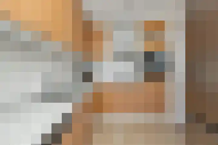 Kerkboomstraat 10 Schelluinen thumbnail 10