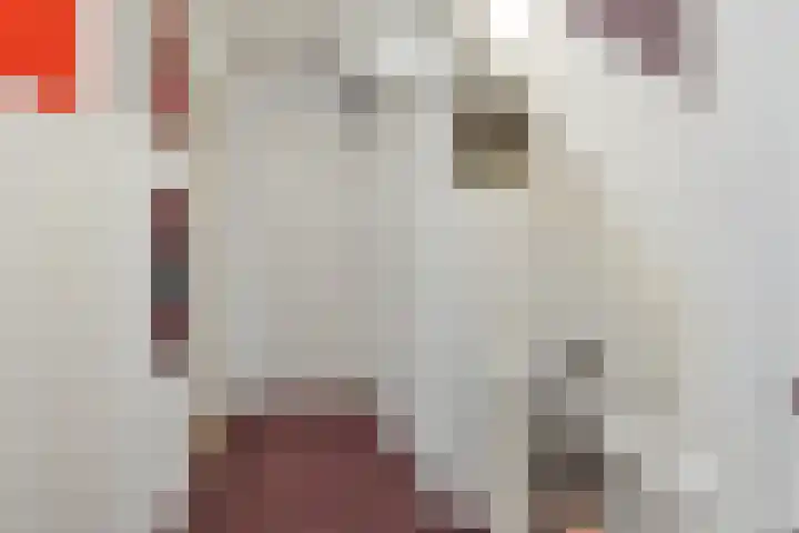 Kerkboomstraat 10 Schelluinen thumbnail 15