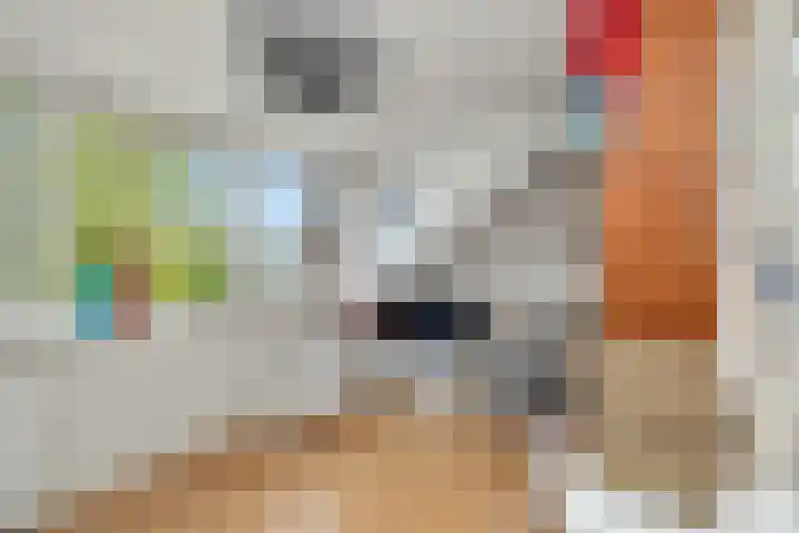 Kerkboomstraat 10 Schelluinen thumbnail 30