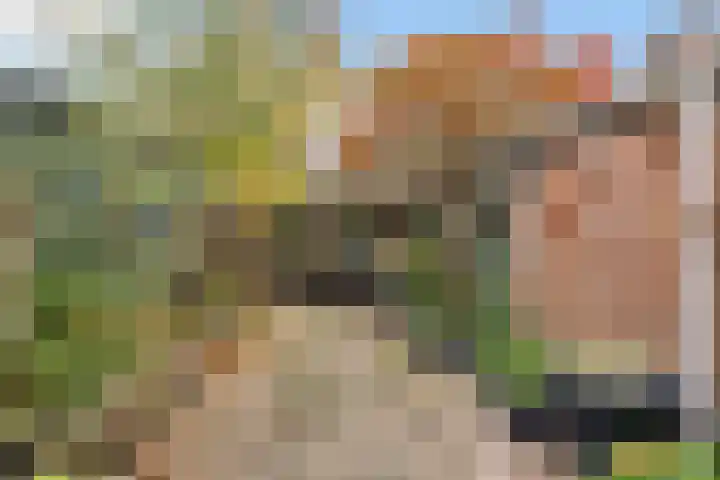 Kerkboomstraat 10 Schelluinen thumbnail 4