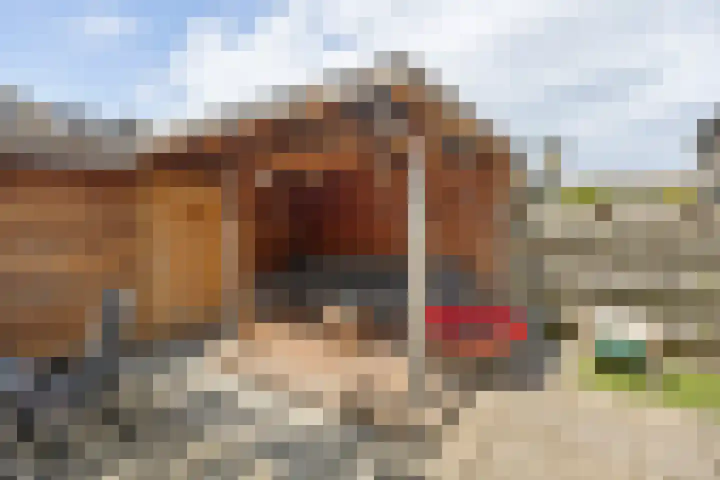 Kerkboomstraat 2 Schelluinen thumbnail 10