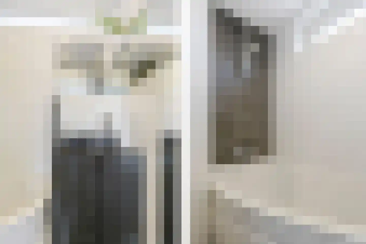 Kerkboomstraat 2 Schelluinen thumbnail 15