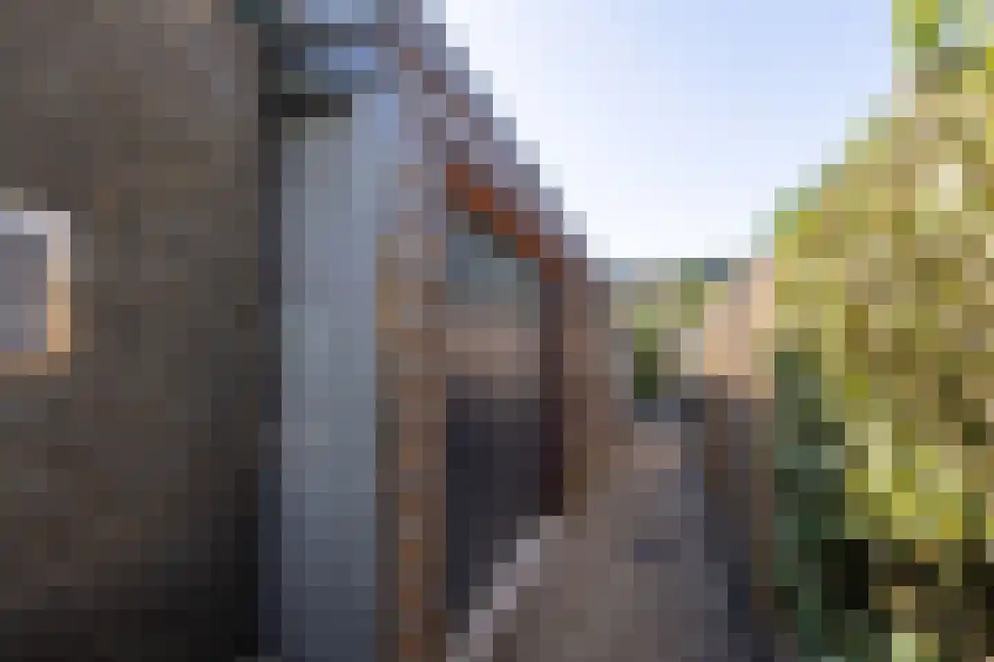 Kerkboomstraat 2 Schelluinen thumbnail 26