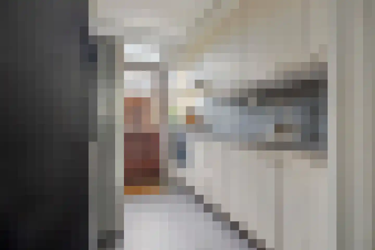 Kerkboomstraat 2 Schelluinen thumbnail 7