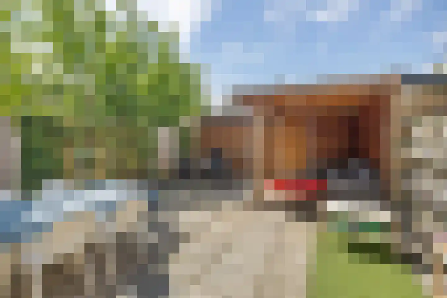 Kerkboomstraat 2 Schelluinen thumbnail 9