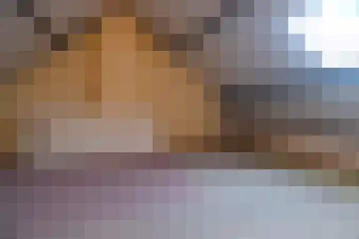 Kerkboomstraat 4 Schelluinen thumbnail 10