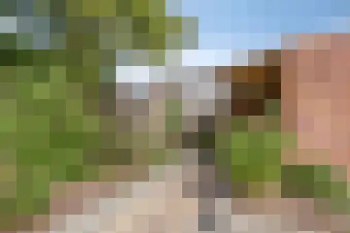Kerkbosweg 10 America thumbnail 32