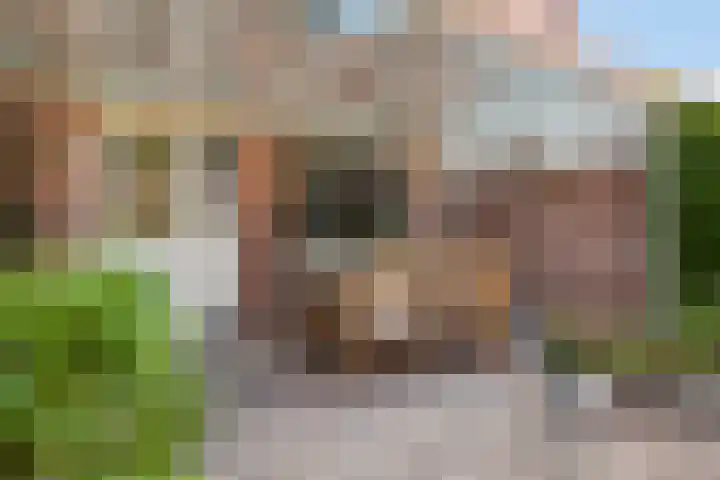 Kerkbosweg 10 America thumbnail 33