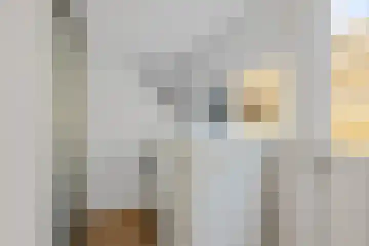 Kerkbrink 12 A Zuidlaren thumbnail 14