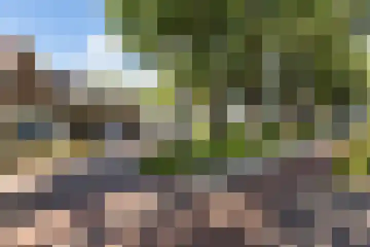 Kerkbrink 12 A Zuidlaren thumbnail 19
