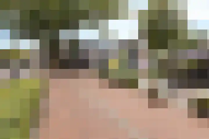 Kerkbrink 12 A Zuidlaren thumbnail 21