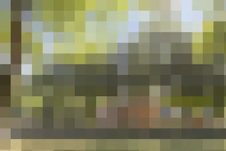 Kerkbrink 12 A Zuidlaren thumbnail 6
