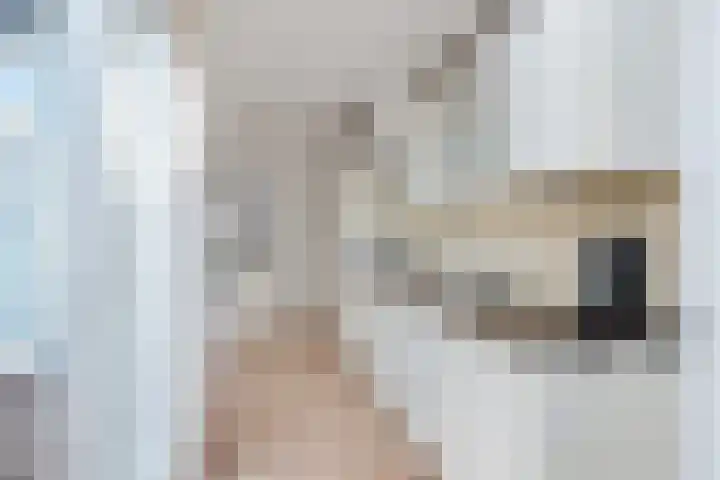 Kerkbrink 12 A Zuidlaren thumbnail 8