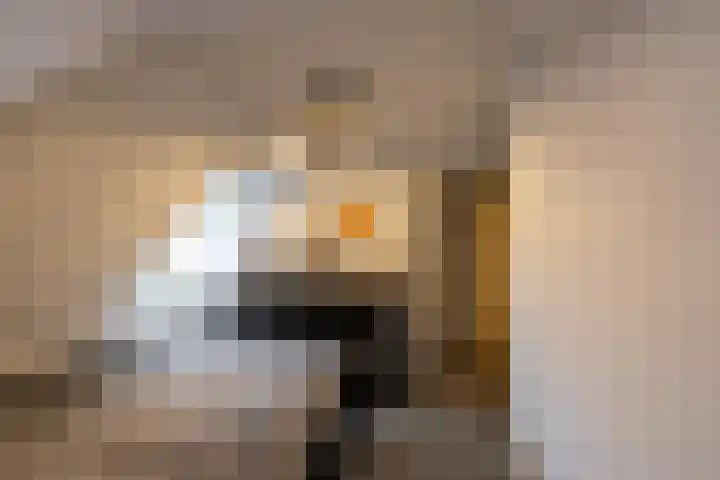 Kerkbrink 12 Zuidlaren thumbnail 28