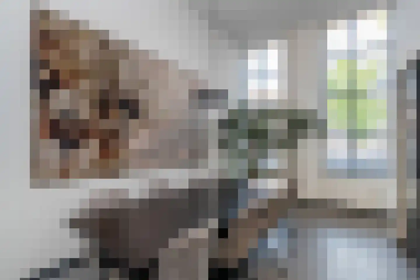 Kerkbrink 14 Hilversum thumbnail 9
