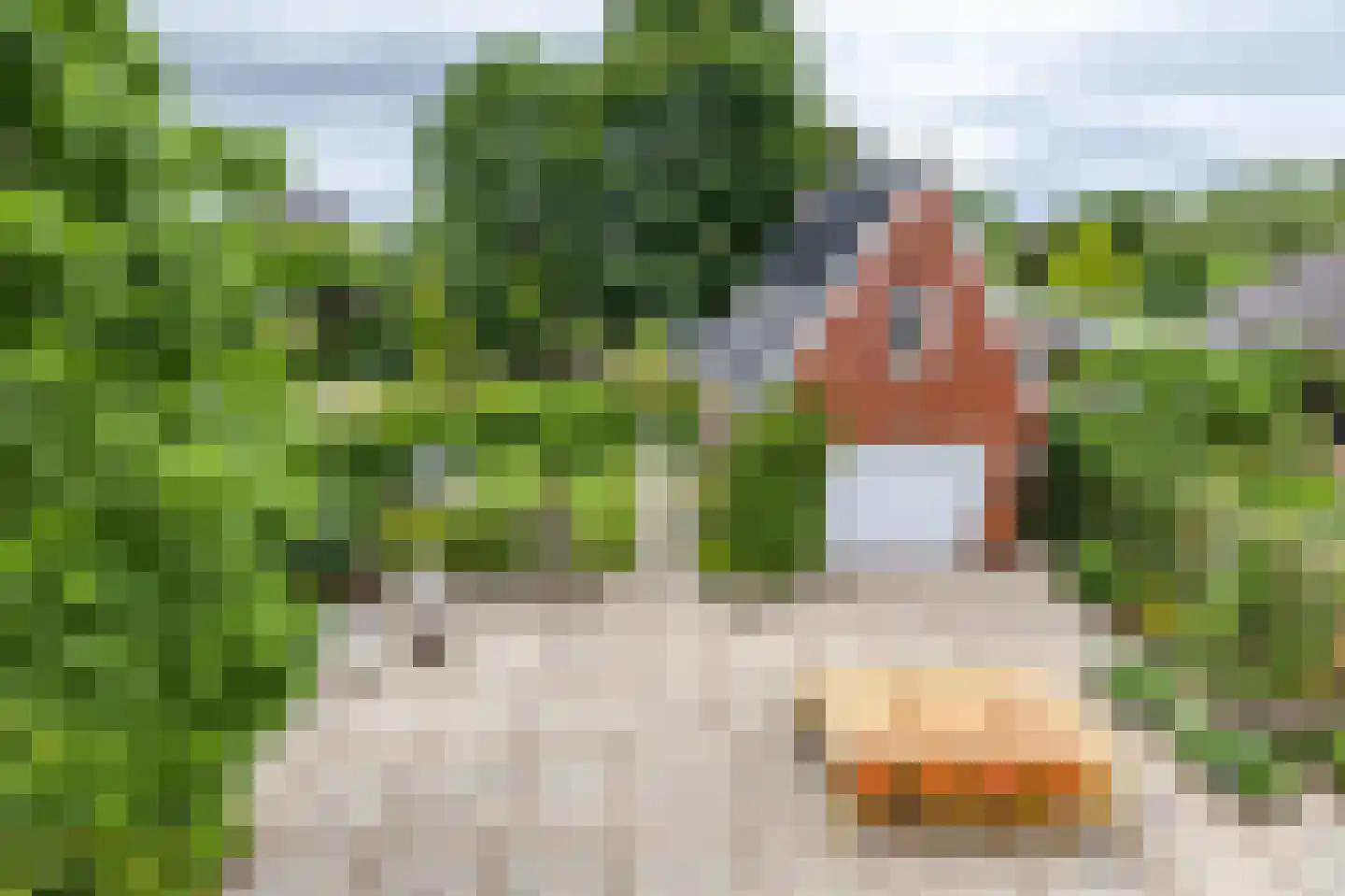 Kerkbrink 26 Zuidlaren thumbnail 51