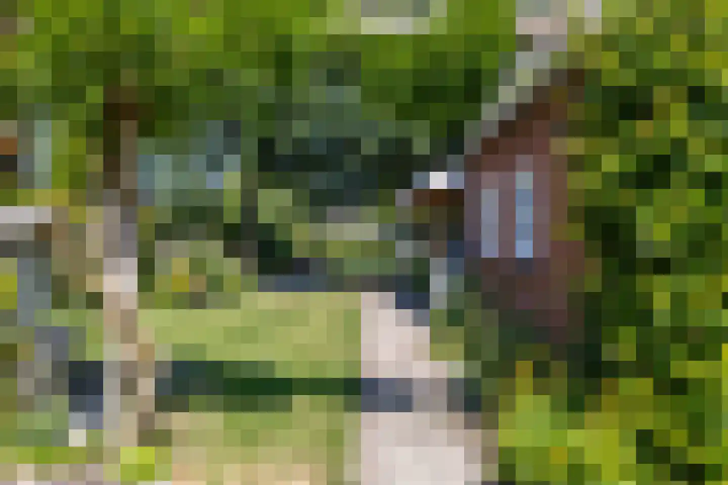 Kerkbrink 26 Zuidlaren thumbnail 6