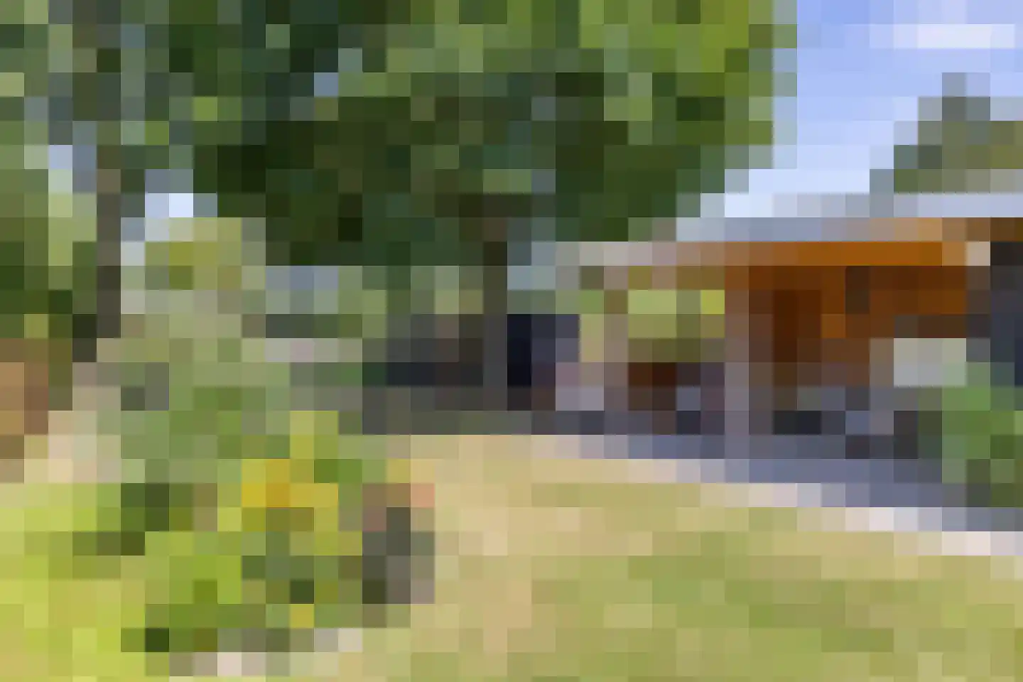 Kerkbrink 26 Zuidlaren thumbnail 75