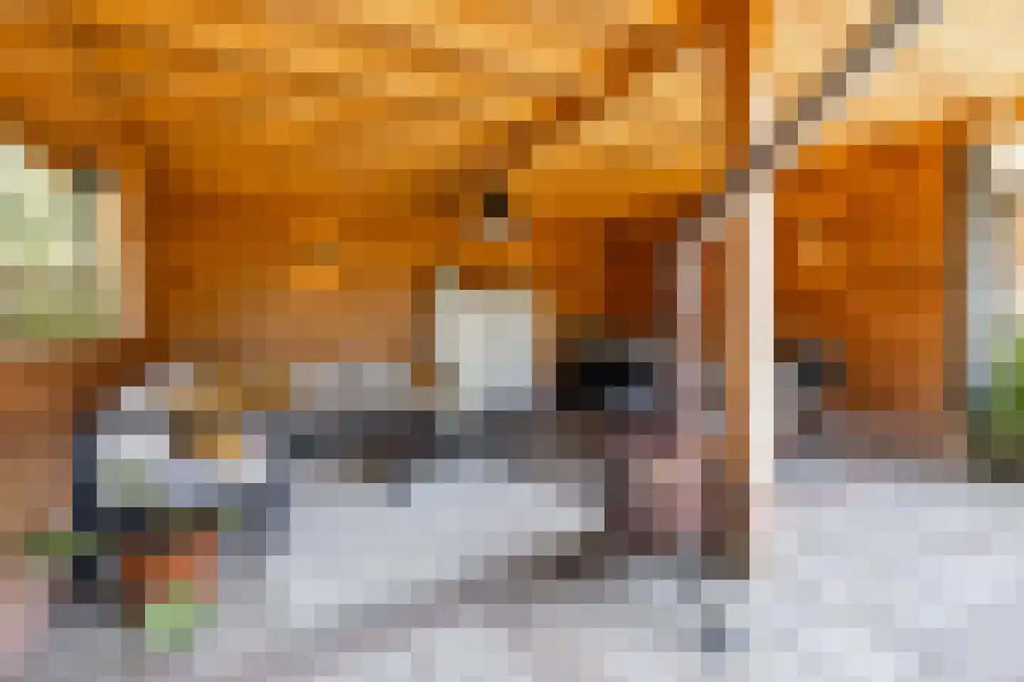 Kerkbrink 26 Zuidlaren thumbnail 77