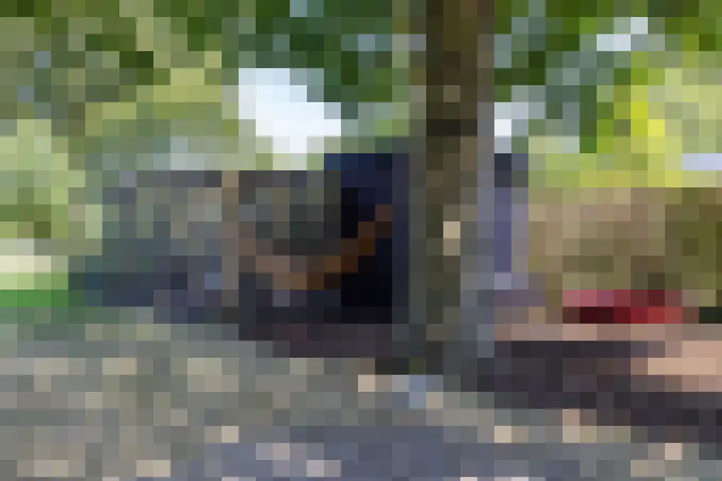 Kerkbrink 26 Zuidlaren thumbnail 80