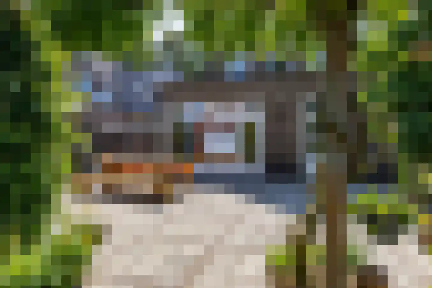 Kerkbrink 26 Zuidlaren thumbnail 87
