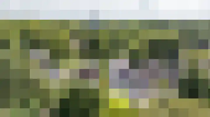 Kerkbrink 30 Zuidlaren thumbnail 101