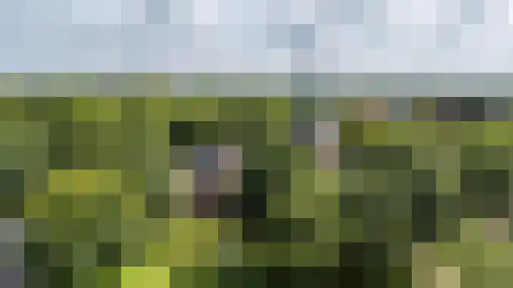 Kerkbrink 30 Zuidlaren thumbnail 102