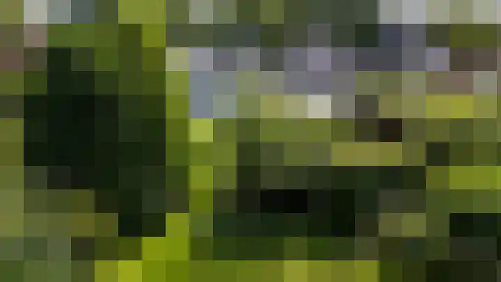 Kerkbrink 30 Zuidlaren thumbnail 4