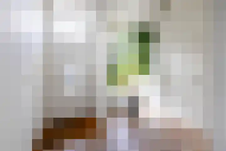 Kerkbrink 30 Zuidlaren thumbnail 6