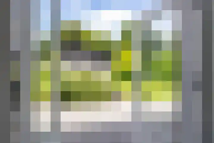 Kerkbrink 30 Zuidlaren thumbnail 72