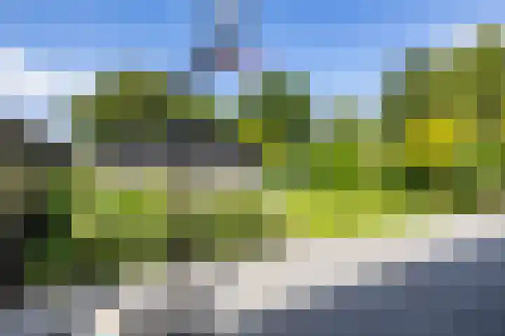 Kerkbrink 30 Zuidlaren thumbnail 73