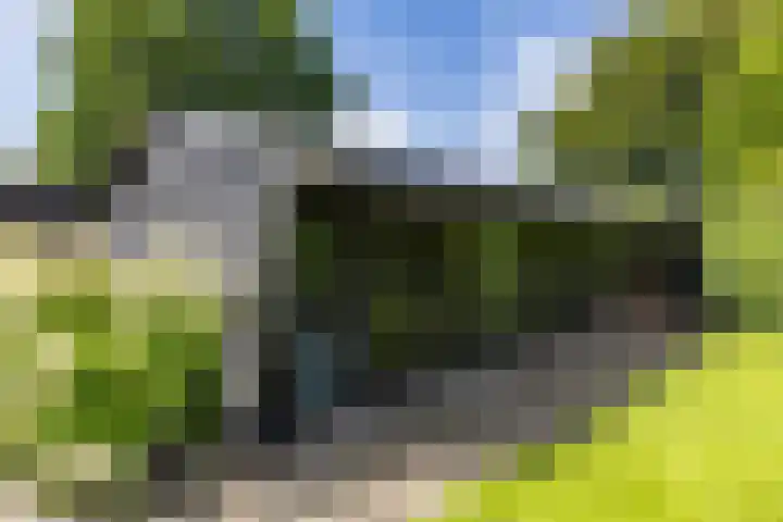 Kerkbrink 30 Zuidlaren thumbnail 75