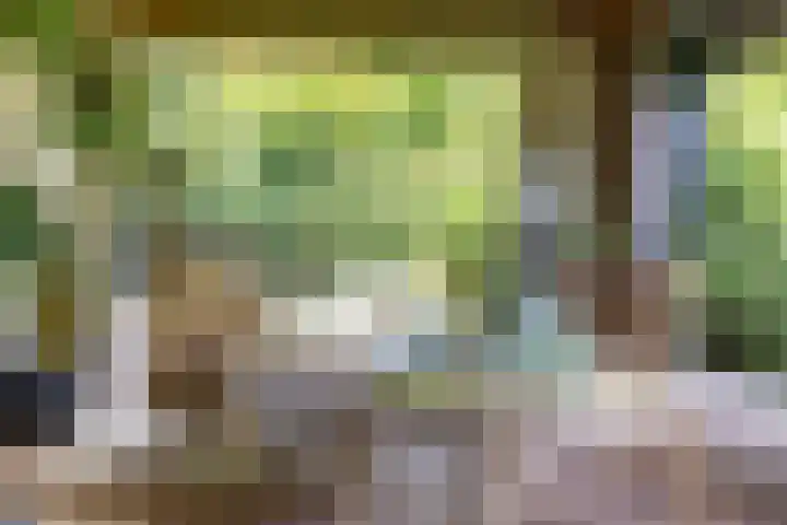 Kerkbrink 30 Zuidlaren thumbnail 80