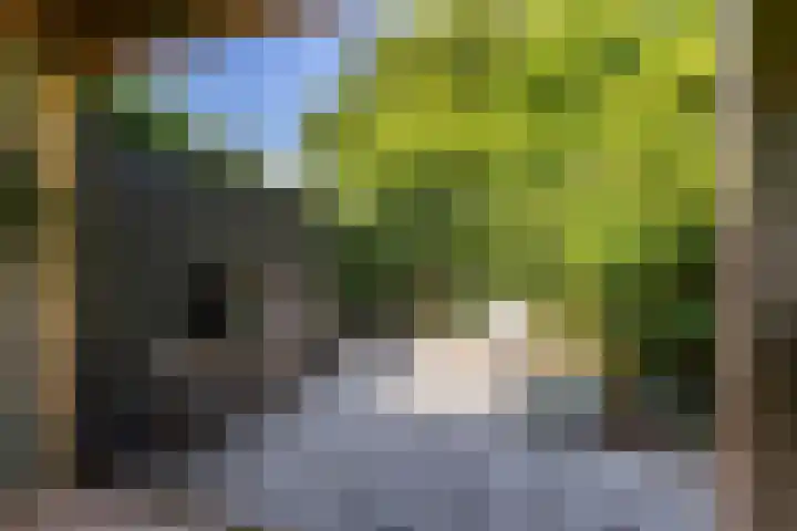 Kerkbrink 30 Zuidlaren thumbnail 81