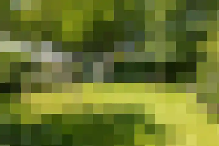 Kerkbrink 30 Zuidlaren thumbnail 83
