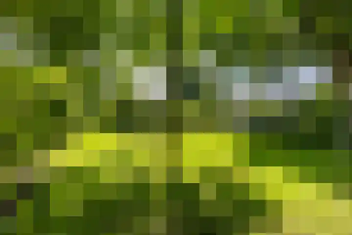 Kerkbrink 30 Zuidlaren thumbnail 84