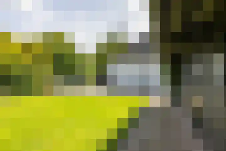 Kerkbrink 30 Zuidlaren thumbnail 86