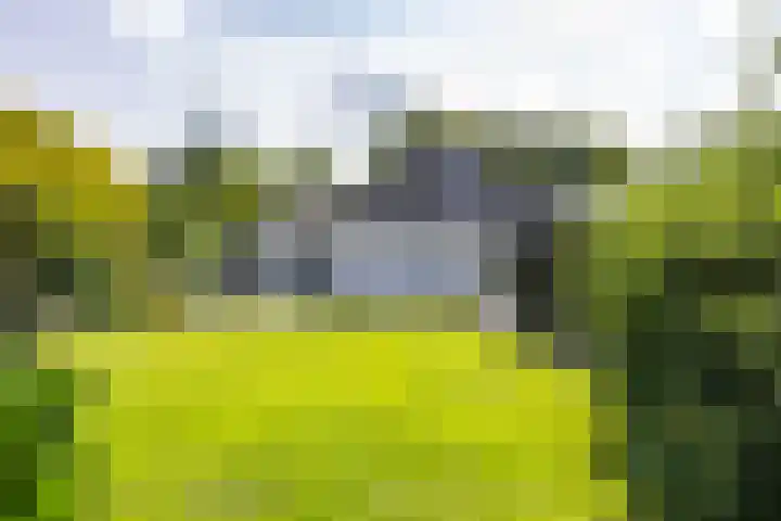 Kerkbrink 30 Zuidlaren thumbnail 88