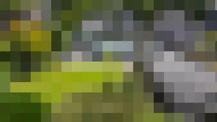 Kerkbrink 30 Zuidlaren thumbnail 89