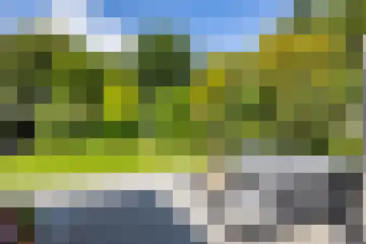 Kerkbrink 30 Zuidlaren thumbnail 90