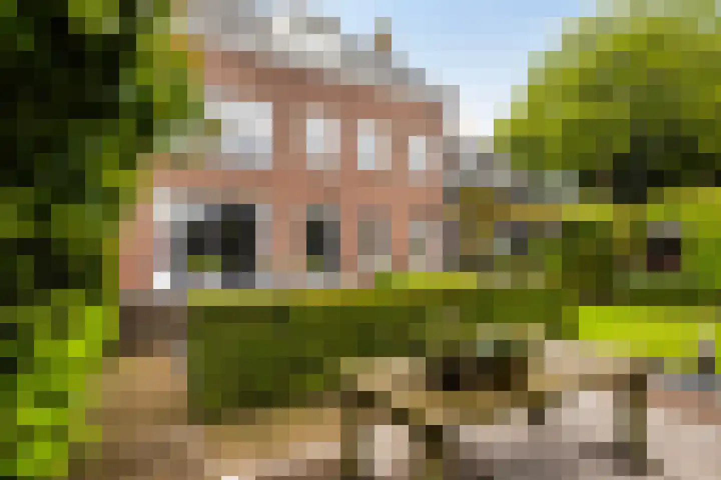 Kerkbuurt 112 Papendrecht thumbnail 4