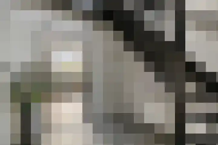 Kerkbuurt 2 Blankenham thumbnail 14