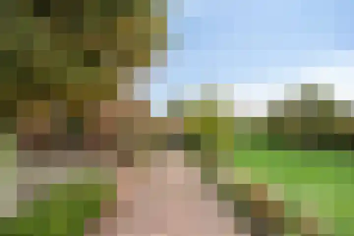 Kerkbuurt 2 Blankenham thumbnail 7
