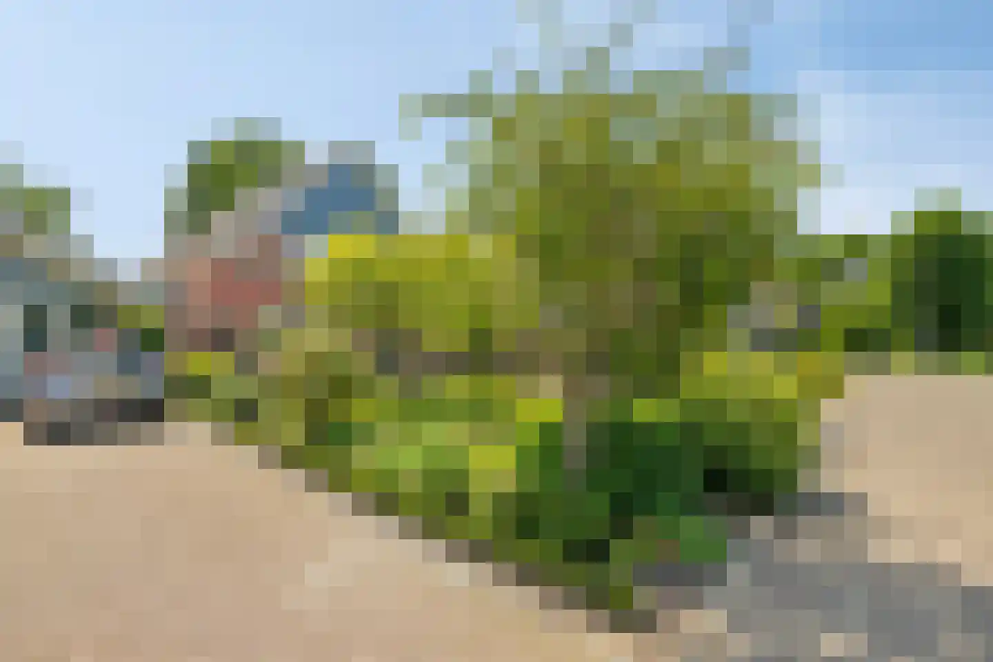 Kerkbuurt 2 Zuidschermer thumbnail 8