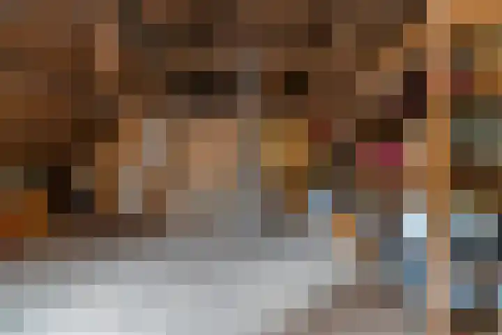 Kerkbuurt 20 Tuitjenhorn thumbnail 33