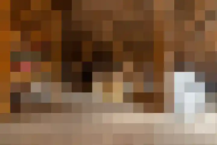 Kerkbuurt 20 Tuitjenhorn thumbnail 35