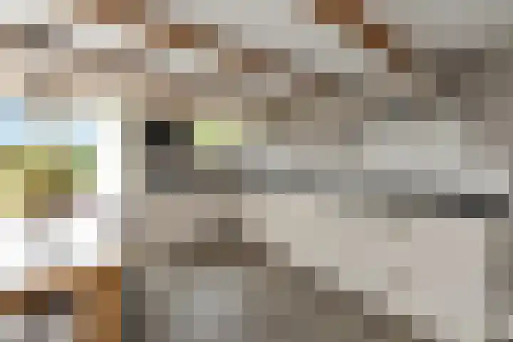 Kerkbuurt 20 Tuitjenhorn thumbnail 4