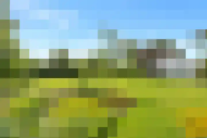 Kerkbuurt 20 Tuitjenhorn thumbnail 43