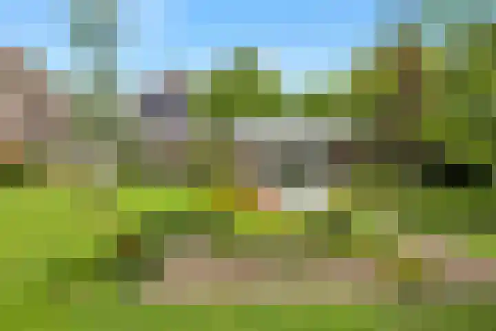 Kerkbuurt 20 Tuitjenhorn thumbnail 5